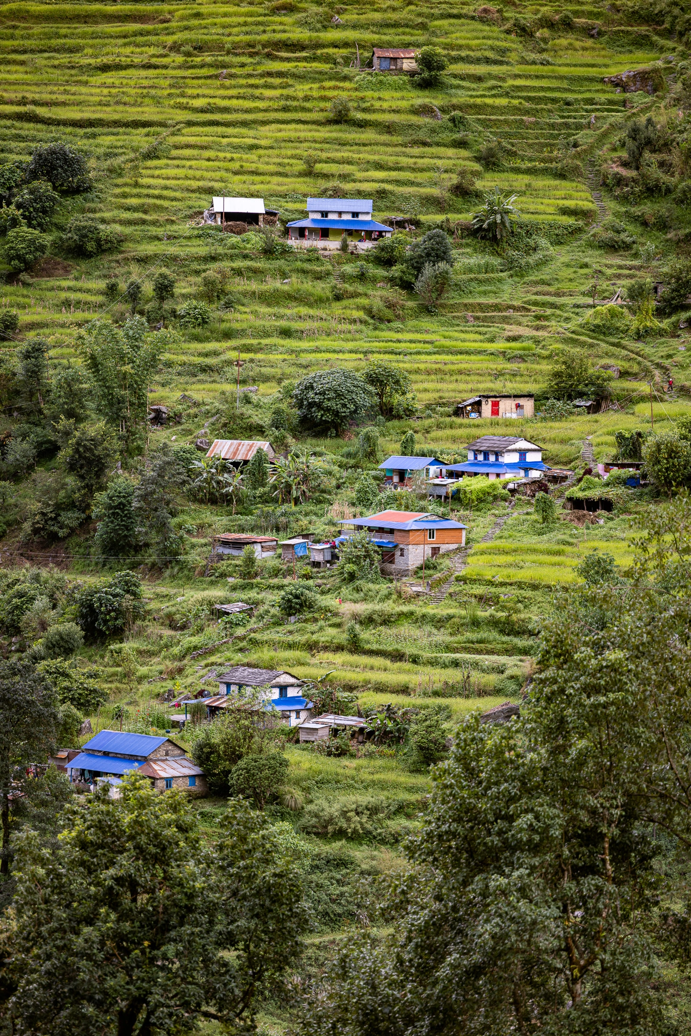 The Road to Annapurna — photograph 27 by Mario Haddad