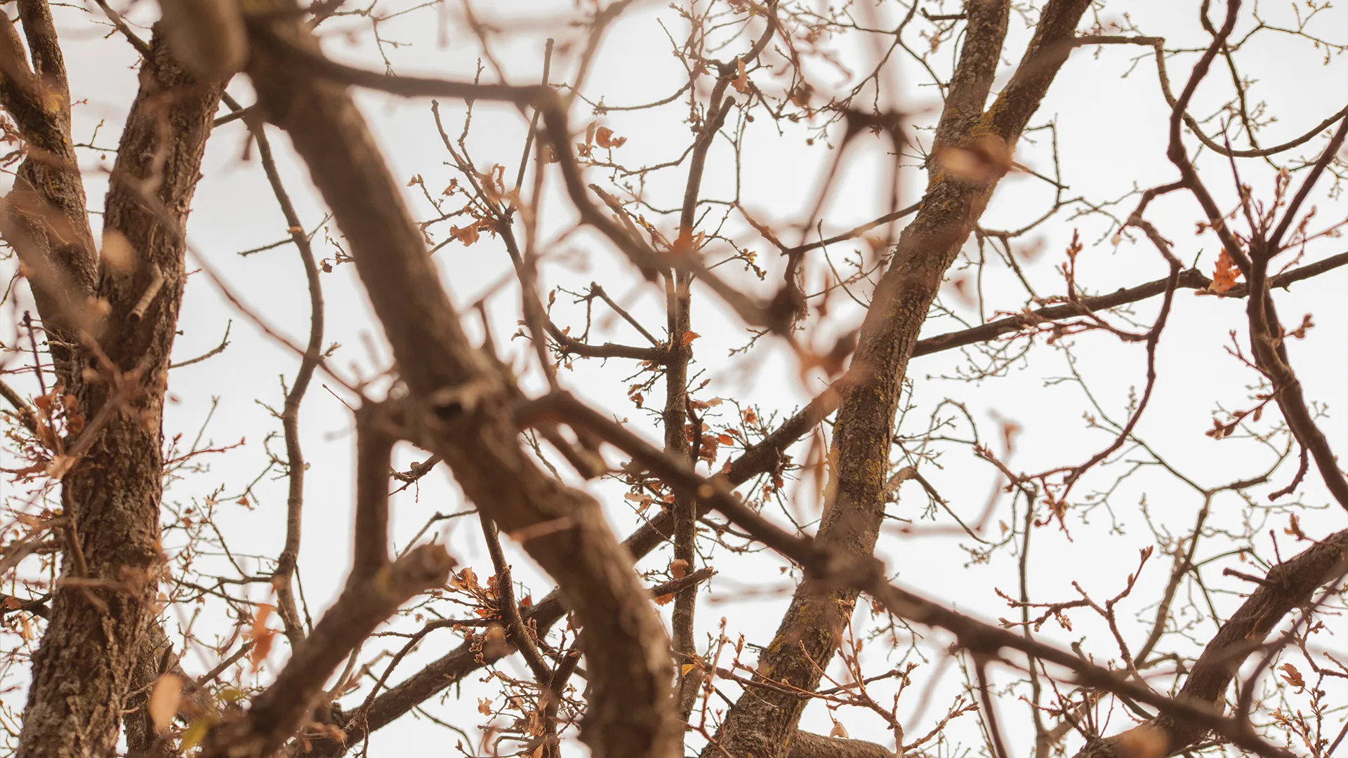Landscapes — photograph 8 by Mario Haddad