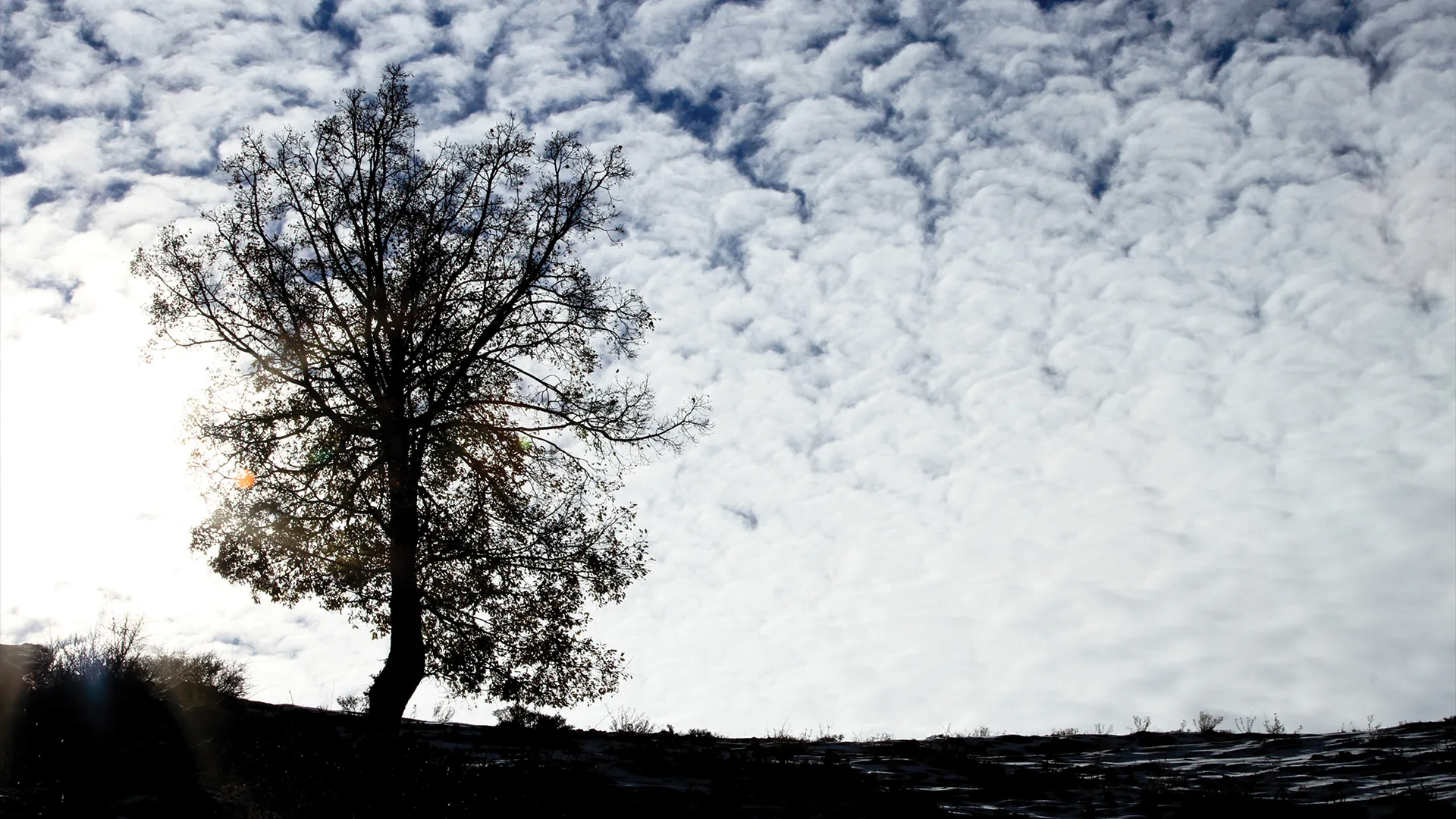 Landscapes — photograph 7 by Mario Haddad