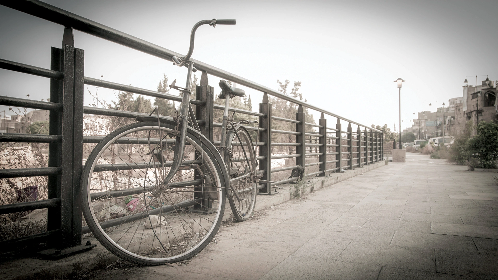 Travel — photograph 15 by Mario Haddad