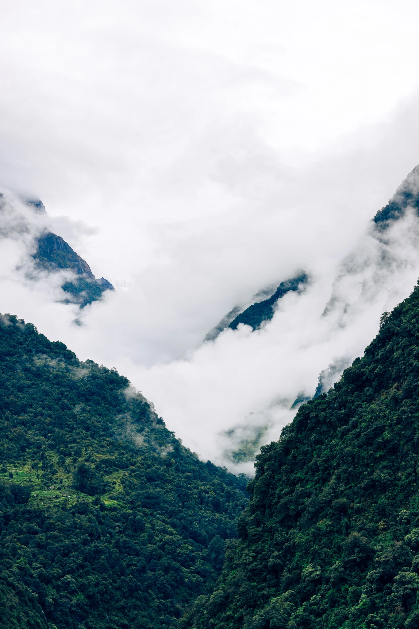The Road to Annapurna — photograph 4 by Mario Haddad