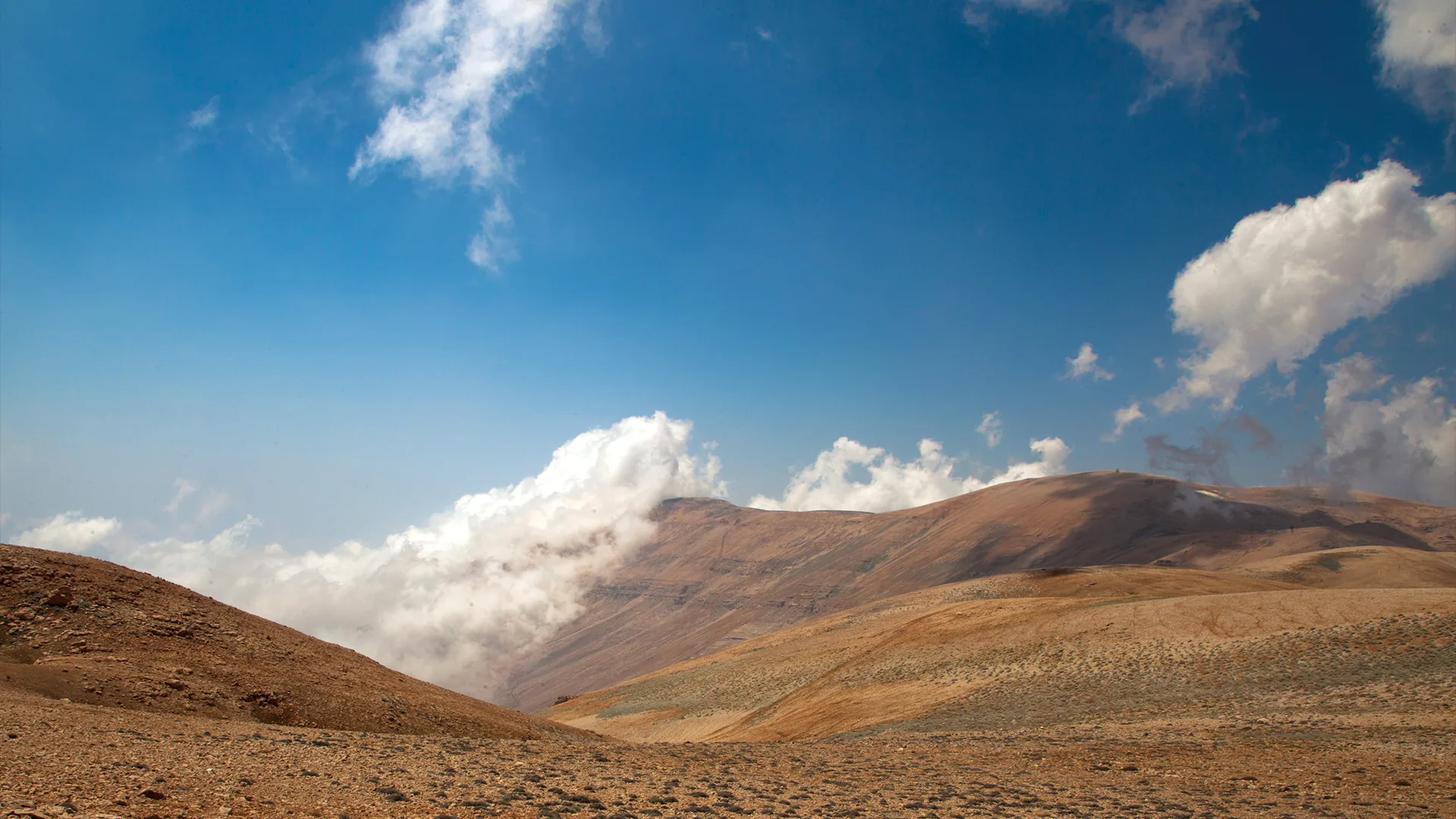 Landscapes — photograph 14 by Mario Haddad