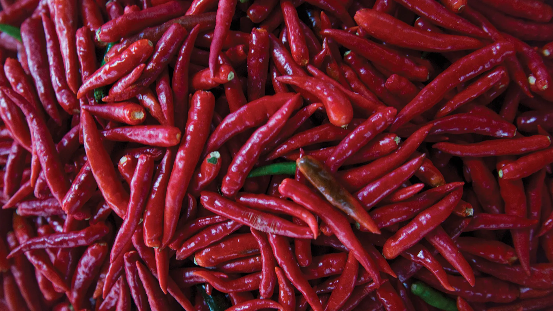 Food & Products — photograph 15 by Mario Haddad
