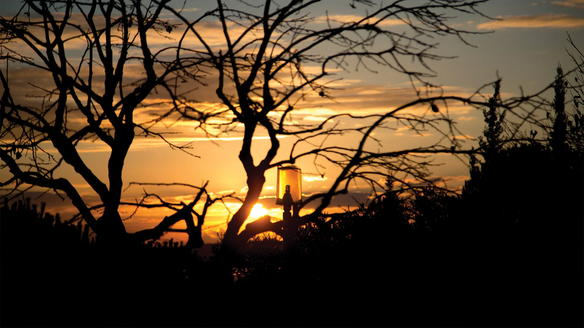 Landscapes — photograph 9 by Mario Haddad