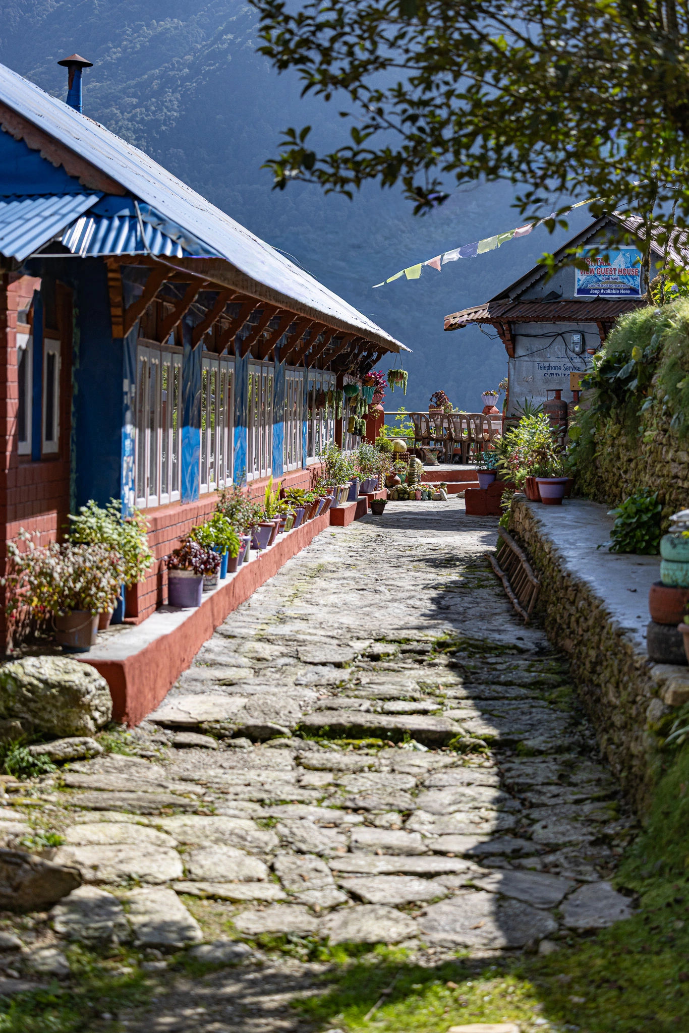 The Road to Annapurna — photograph 29 by Mario Haddad