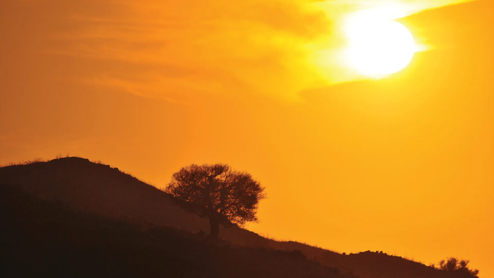 Landscapes — photograph 6 by Mario Haddad
